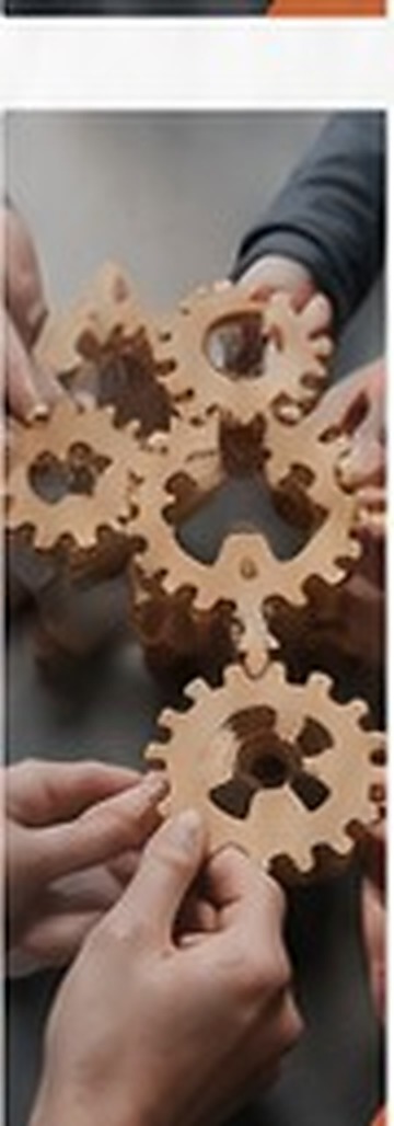 Quality & Organizational Development